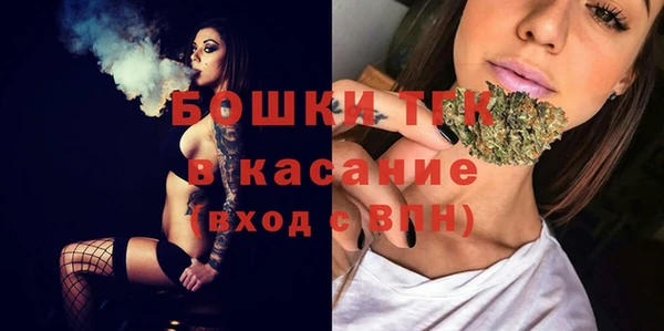 дживик Арсеньев