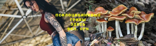 дживик Арсеньев