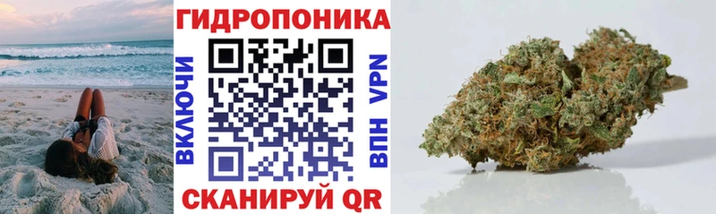 Бошки Шишки Amnesia  Суворов 